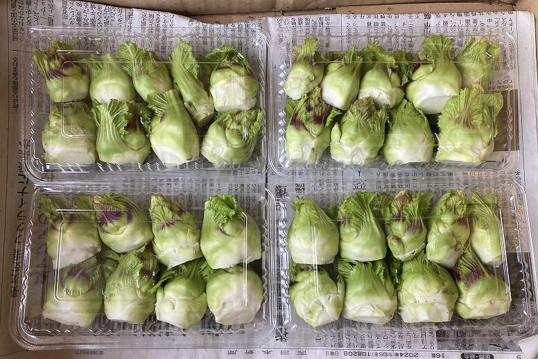 つぼみ菜