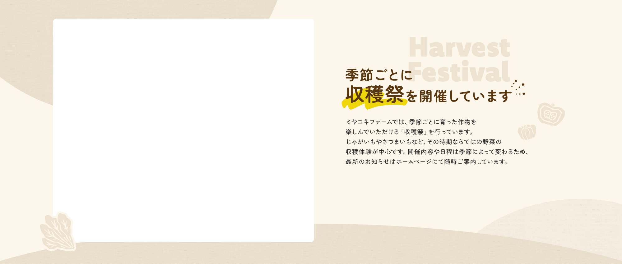 secondmain_bg